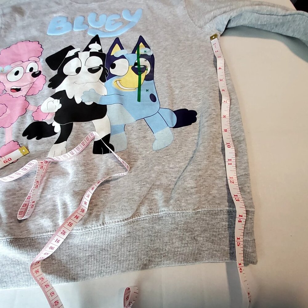 Bluey Heather Grey Sweatshirt Size M Featuring Best Buddies Front & Back Graphic - Picture 7 of 7